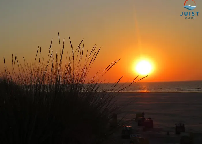 Appartement Haus Hahntje 192 - Sonnenwinkel Juist